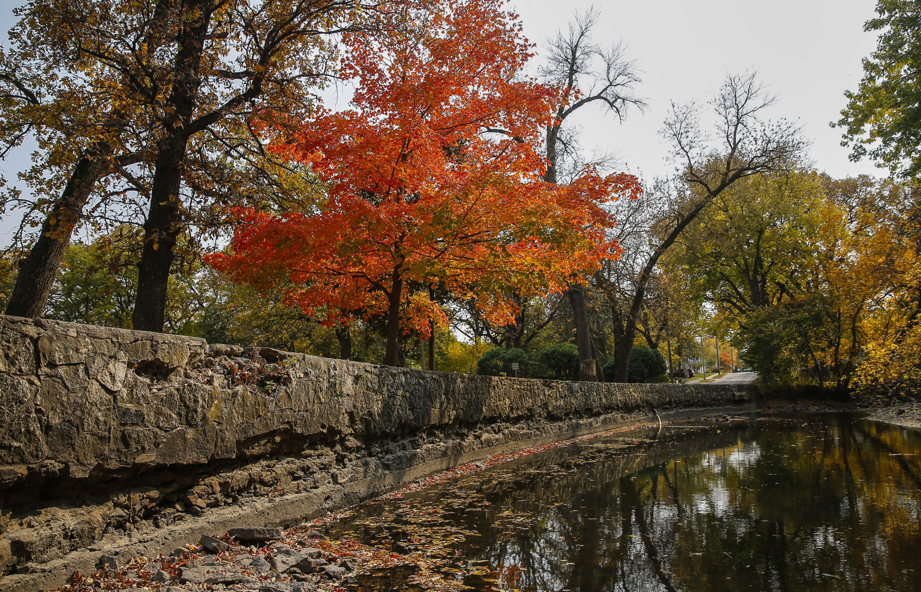 Fall Colors 13